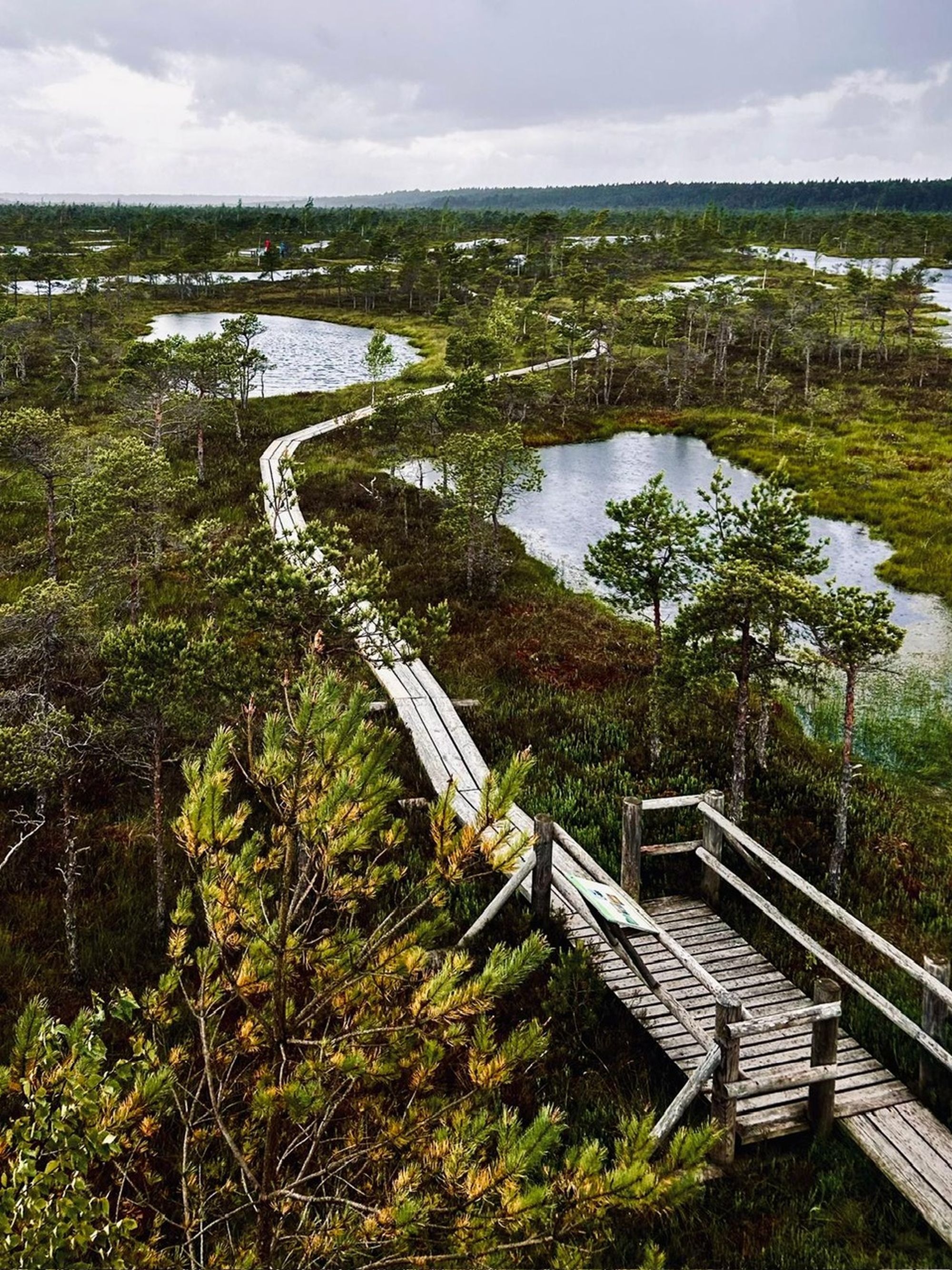 ECOdpowiedzialny – projekt, który łączy edukację, ekologię i współpracę międzynarodową