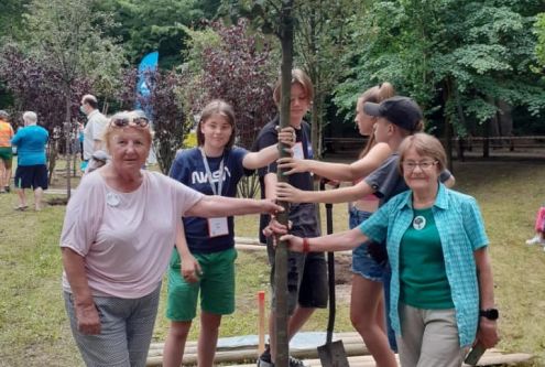 Nasz jarząb turyński posadzony